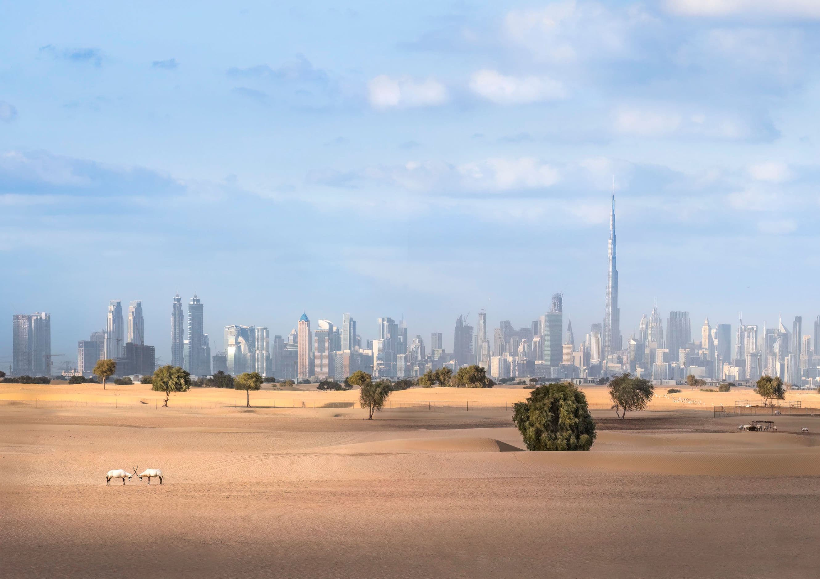 Battery Near Me service in Arabian Ranches, Dubai